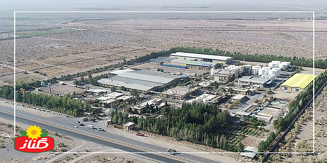 Golnaz-3